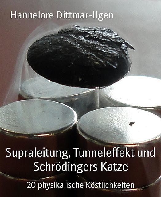 Supraleitung, Tunneleffekt und Schrödingers Katze, Hannelore Dittmar-Ilgen