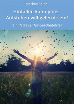 Hinfallen kann jeder. Aufstehen will gelernt sein, Markus Seidel