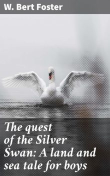 The quest of the Silver Swan: A land and sea tale for boys, W.Bert Foster