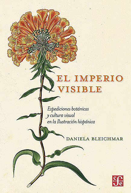 El imperio visible, Daniela Bleichmar