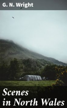 Scenes in North Wales, G.N. Wright