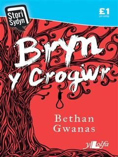 Bryn Y Crogwr, Bethan Gwanas