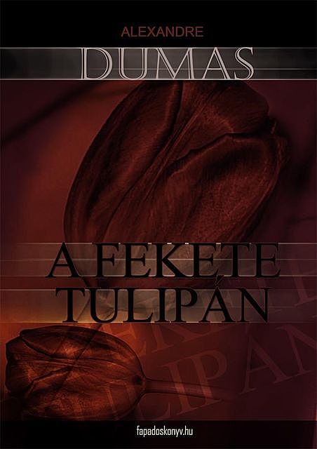 A fekete tulipán, Alexandre Dumas