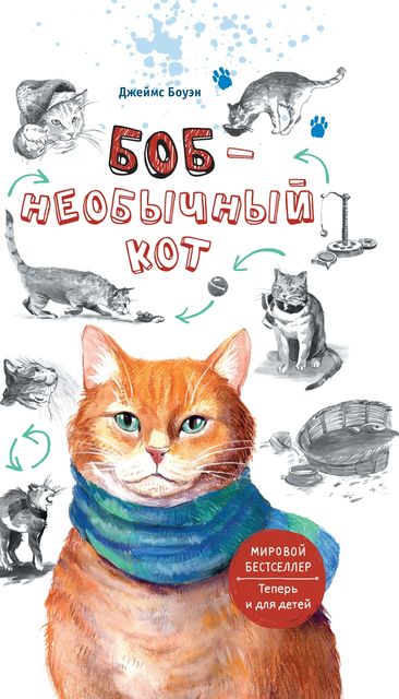 Боб – необычный кот, Джеймс Боуэн