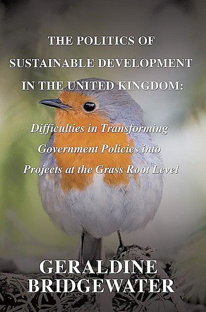 The Politics Of Sustainable Development In The United Kingdom, Geraldine Bridgewater