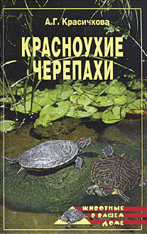 Красноухие черепахи, Анастасия Красичкова