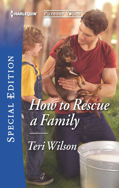 How To Rescue A Family, Teri Wilson