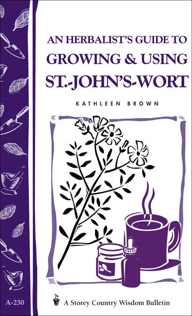 An Herbalist's Guide to Growing & Using St.-John's-Wort, Kathleen Brown