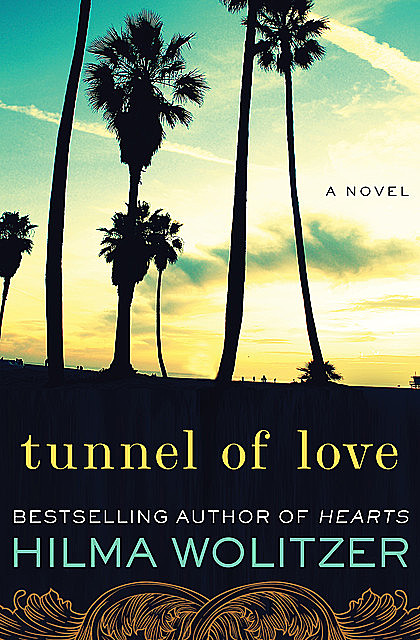 Tunnel of Love, Hilma Wolitzer