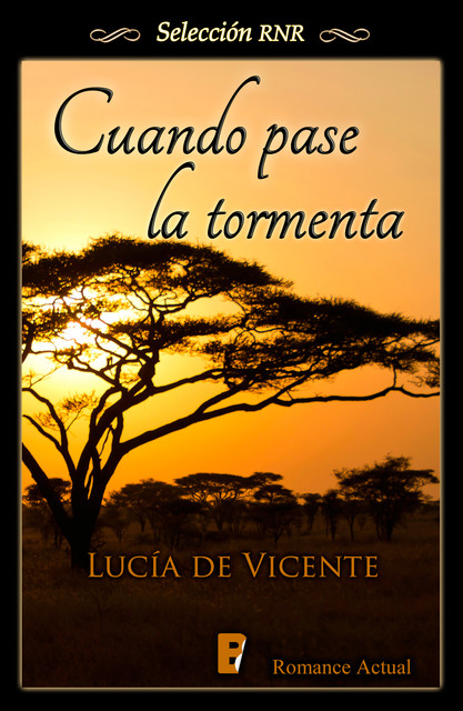 Cuando pase la tormenta, Lucía De Vicente