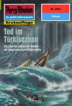 Perry Rhodan 2033: Tod im Türkisozean, Andreas Findig