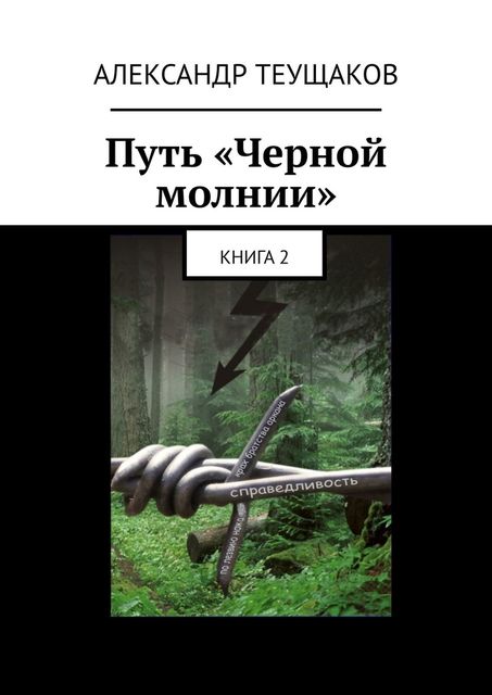 Путь «Черной молнии». Книга 2, Александр Теущаков