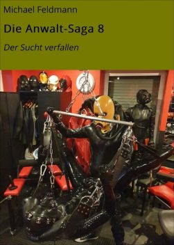Die Anwalt-Saga 8, Michael Feldmann