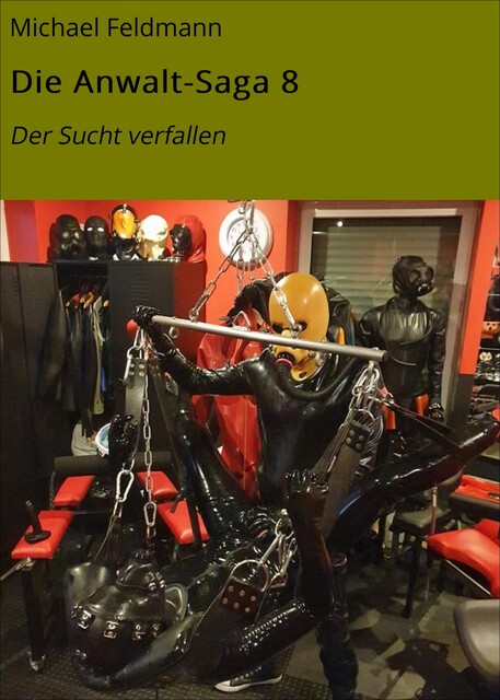 Die Anwalt-Saga 8, Michael Feldmann
