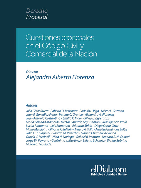 Cuestiones procesales en el Código Civil y Comercial de la Nación, Alejandro A. Fiorenza, Amalia Fernandez Balbis, Ivanna Chamale De Reina, Juan A. Costantino, Juan F. Gonzalez Freire, Julio O. Chiappini, Leandro R.N. Cossari, Milton C. Feuillade, Roberto O. Berizonce, Silvana Ballarin, Silvia L. Esperanza, Vanina C. Gr