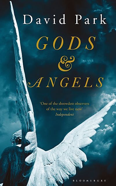 Gods and Angels, David Park