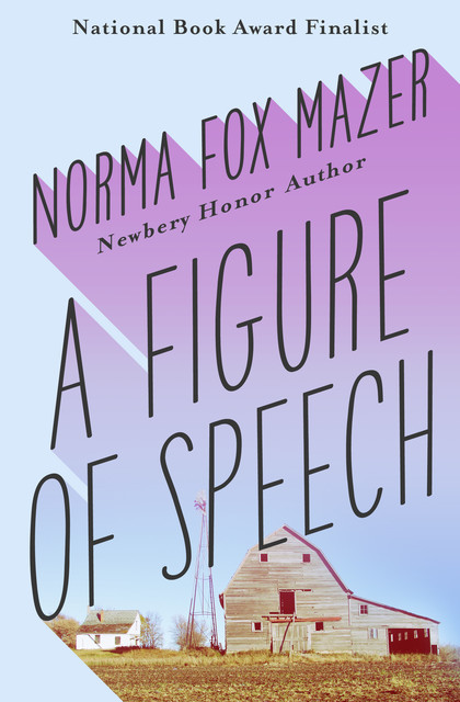 A Figure of Speech, Norma Fox Mazer