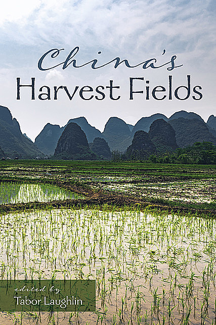China’s Harvest Fields, Tabor Laughlin