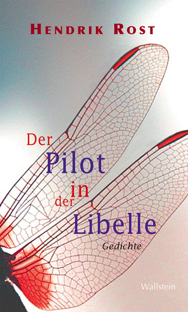 Der Pilot in der Libelle, Hendrik Rost