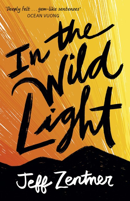 In the Wild Light, Jeff Zentner