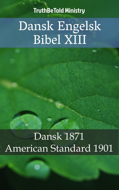 Dansk Engelsk Bibel XIV, Joern Andre Halseth