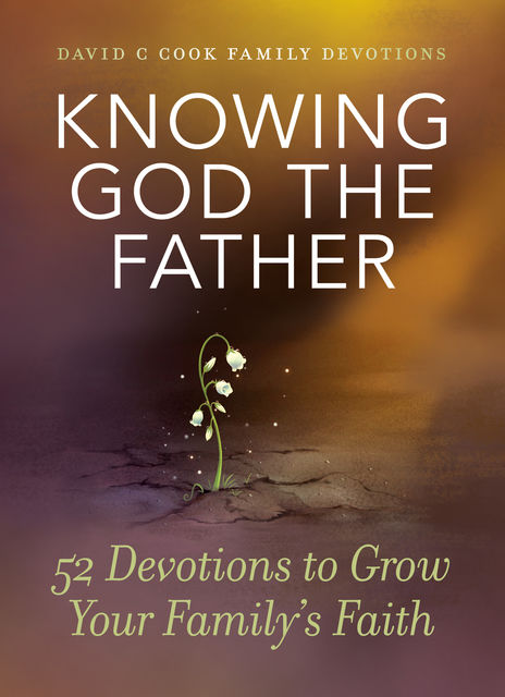 Knowing God the Father, David Cook