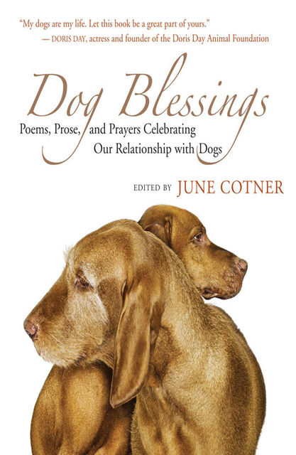 Dog Blessings, June Cotner