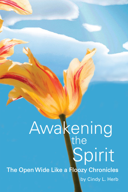 Awakening the Spirit, Cindy L.Herb