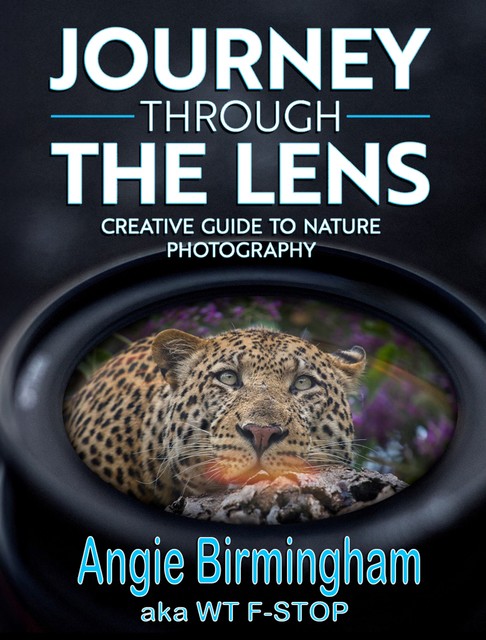 Journey Through the Lens, Angie Birmingham