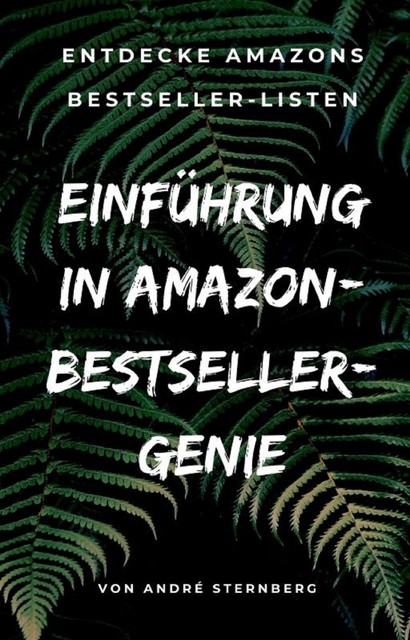 Einführung in Amazon Bestseller Genie, André Sternberg