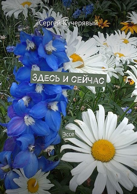 Здесь и сейчас, Сергей Кучерявый