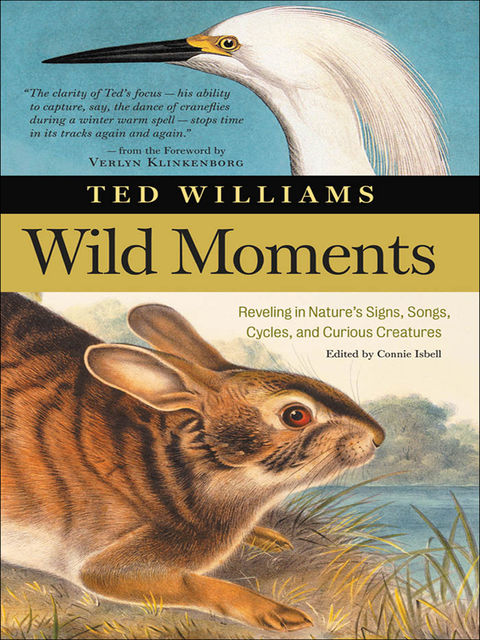 Wild Moments, Ted Williams