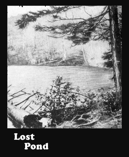 Lost Pond, Henry Abbott