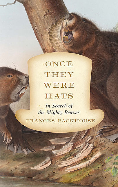 Once They Were Hats, Frances Backhouse