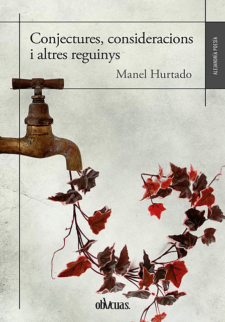 Conjectures, consideracions i altres reguinys, Manel Hurtado