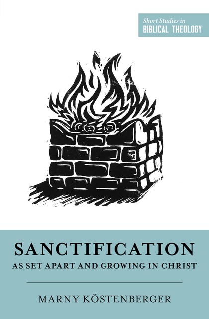 Sanctification as Set Apart and Growing in Christ, Margaret Elizabeth Köstenberger
