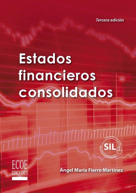 Estados financieros consolidados, Ángel Fierro