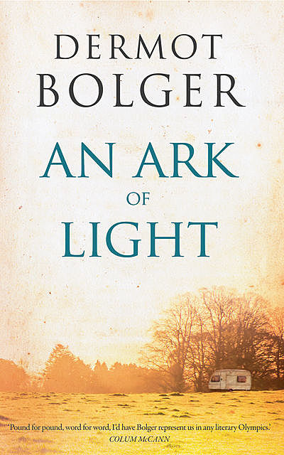 An Ark of Light, Dermot Bolger
