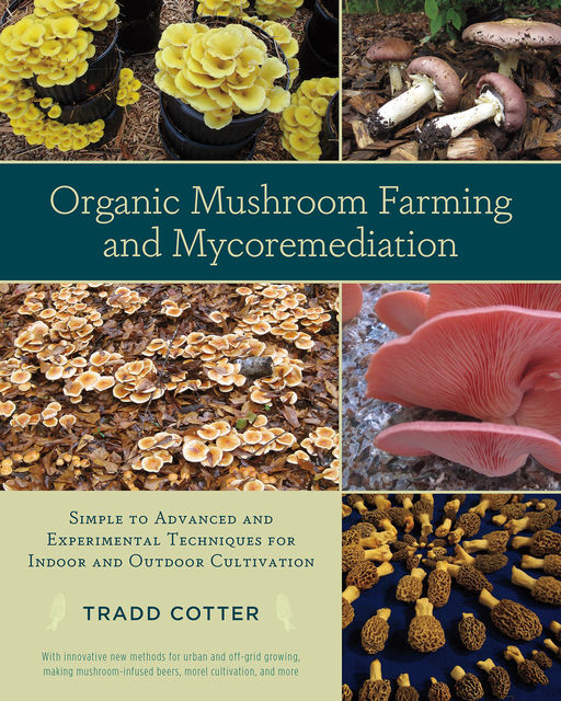 Organic Mushroom Farming and Mycoremediation, Tradd Cotter