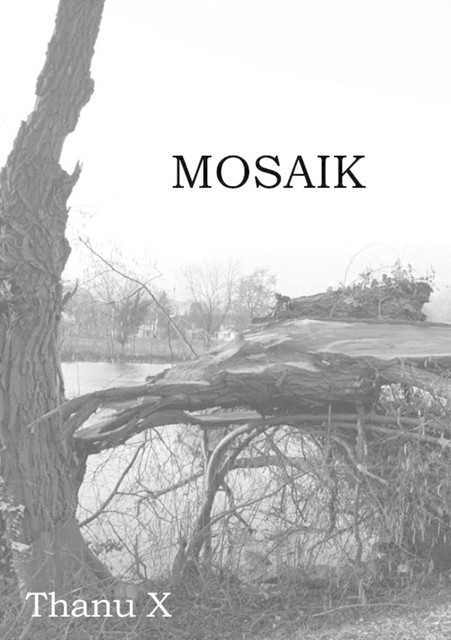 Mosaik, Thanu X