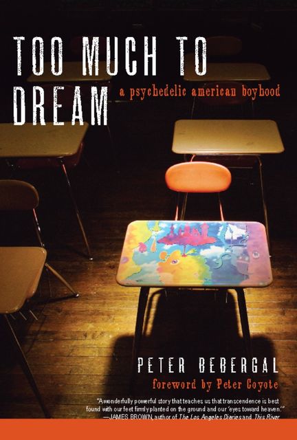 Too Much to Dream, Peter Bebergal