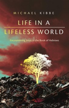 Life in a Lifeless World, Michael Kibbe