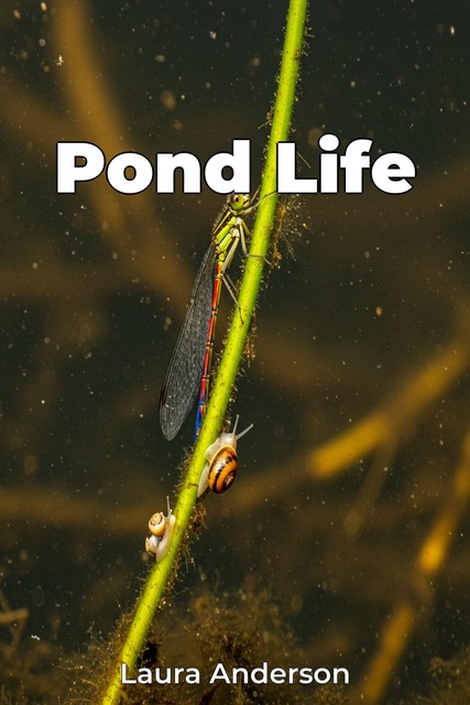 Pond Life, Laura Anderson