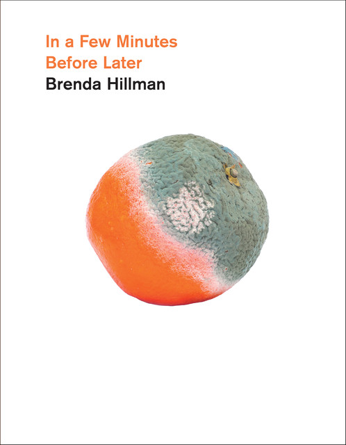 In a Few Minutes Before Later, Brenda Hillman