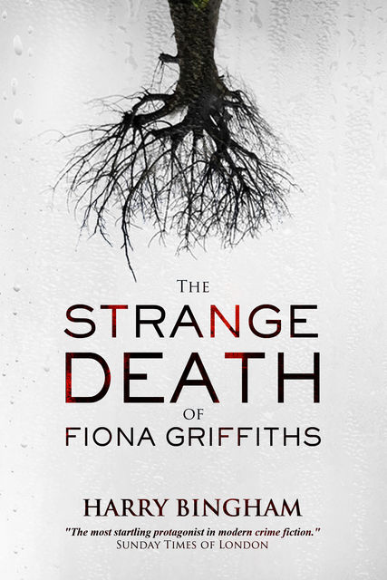 The Strange Death of Fiona Griffiths, Harry Bingham