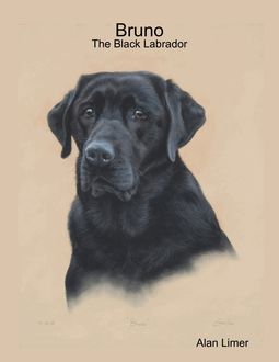 Bruno – The Black Labrador, Alan Limer