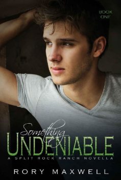 Something Undeniable: Split Rock Ranch Book 1, Rory Maxwell