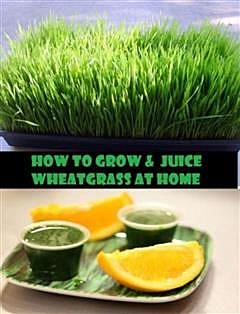 How to Grow & Juice Wheatgrass at Home, Self Help Diet eBooks