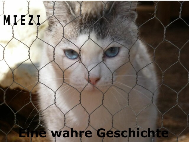 Miezi – Eine wahre Katzengeschichte, Judith Cramer