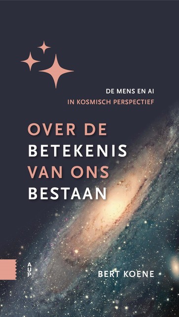 Over de betekenis van ons bestaan, Bert Koene